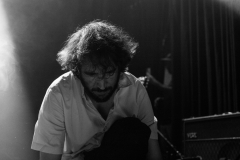 VIVABELGRADO-24