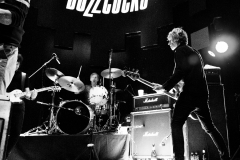 Buzzcocks_01