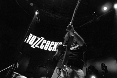 Buzzcocks_12