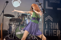 ginebras-