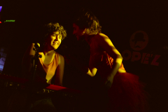 DSF1981