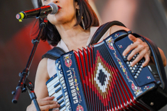julieta-venegas-1