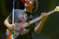 TOR2035-NEF_DxO_DeepPRIME